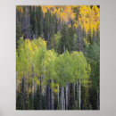Search for provo posters Aspen