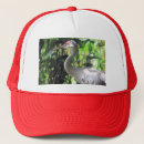 Search for crane hats Wildlife