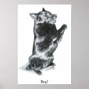 Search for schipperke posters Portrait