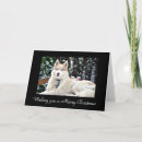 Search for husky christmas cards Huskies