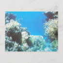 Search for scuba diving postcards Underwater