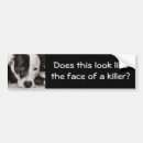 Search for looking bumper stickers Animal