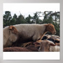 Search for herding art Animals