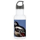 Search for woodpecker Cute