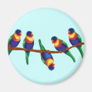 Search for australian bird magnets Branch