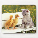 Search for ugly mousepads Kitten