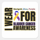 Search for cancer awareness ribbons stickers Warrior