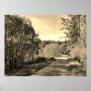 Search for walking path posters Photography