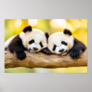 Search for beauty posters Beautiful