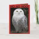 Search for snowy owl christmas cards Birds