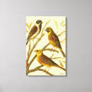 Search for vintage bird art Branch