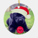 Search for black labrador christmas tree decorations Festive