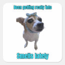 Search for smells stickers Pets