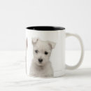 Search for west highland coffee mugs White