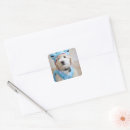 Search for costume stickers Dog