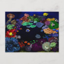 Search for clam it postcards Shrimp