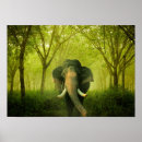 Search for indian elephant posters Mammal