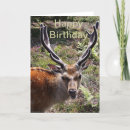 Search for stags cards Portrait