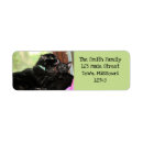 Search for grooming cards invites Cute