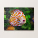 Search for tropical fish puzzles Orange