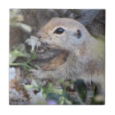 Search for round tiles Flowers