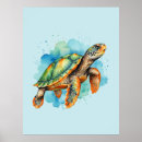 Search for turtle posters Watercolor