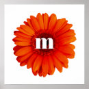 Search for gerberas posters Flower