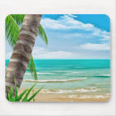 Search for shoreline electronics Tropical