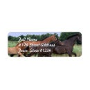 Search for wild horse return address labels Equine