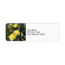 Search for desert flowers return address labels Arizona