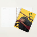 Search for secrets office supplies Wizarding wold