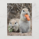 Search for lady friend postcards Friendship