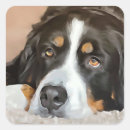 Search for protector stickers Dog