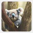 Search for happy koala stickers Bear