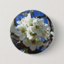 Search for pear tree badges Nature