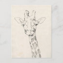 Search for giraffe drawing postcards Zoo