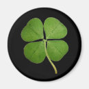 Search for 4 leaf magnets Good luck charm