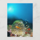 Search for low angle view postcards Viewpoint