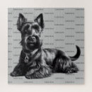 Search for scottish terrier puzzles Scottie