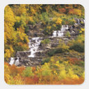 Search for glacier stickers Chuck haney