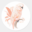 Search for cockatoo stickers Parrot