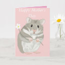 Search for of the hamster and cards For her