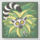 Search for lemur coasters Cute