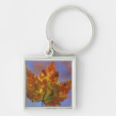 Search for changing seasons key rings Colourful