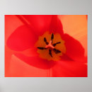 Search for inside art Floral