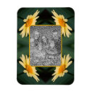 Search for daisy picture magnets Nature