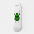 Search for bugs skateboards Insect