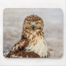 Search for red tail mousepads Red tailed hawk