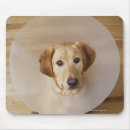 Search for care mice mousepads Indoors