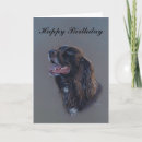 Search for cocker spaniel birthday cards Brown